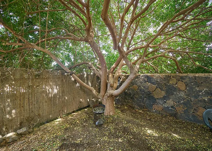 Apartamento Molino De El Roque