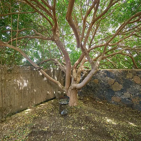 Daire Molino De El Roque